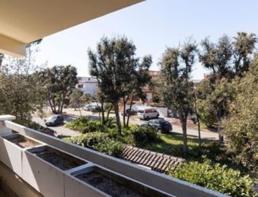 Magnifica Villa A Fregene Fregenae Exteriör bild