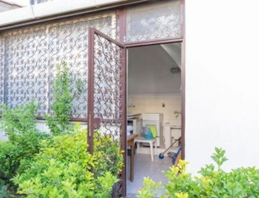 Magnifica Villa A Fregene Fregenae Exteriör bild